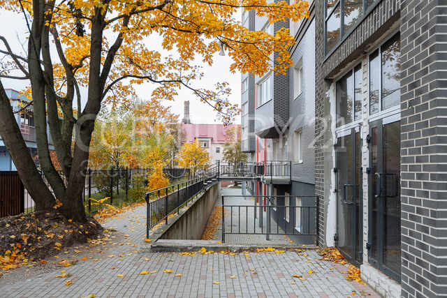 Коммерческая недвижимость, 54.6 м² — Калининград, Б.Хмельницкого, дом 50 — фото 9