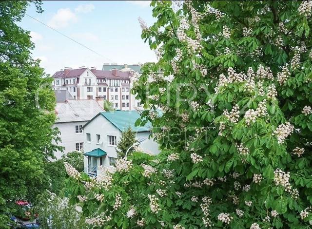 1-комнатная квартира 39 м² в аренду — Калининград, Колхозная, дом 9 — фото 10