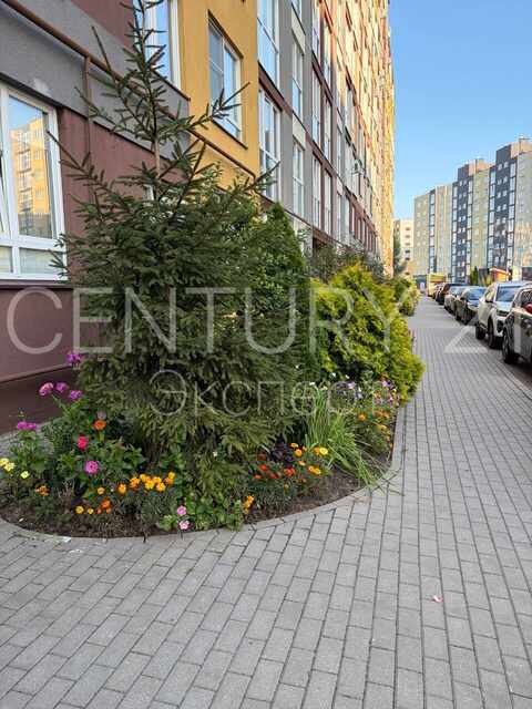 1-комнатная квартира 44 м² в аренду — Калининград, Генерала Челнокова, дом 58 — фото 11