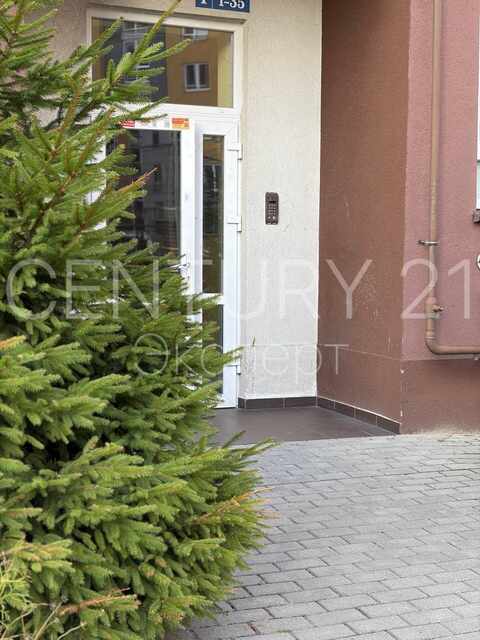 1-комнатная квартира 44 м² в аренду — Калининград, Генерала Челнокова, дом 58 — фото 10