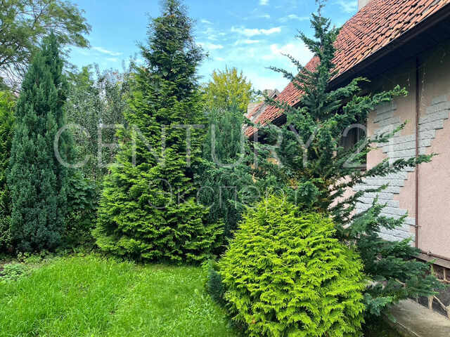 3-комнатная квартира 82.5 м² — Донское, Янтарная, дом 5 — фото 3