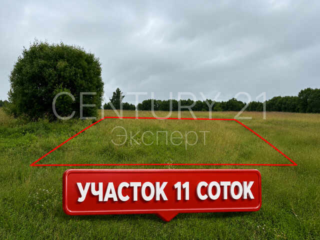 Участок 11 сот. — Ольховое, Центральная — фото 11