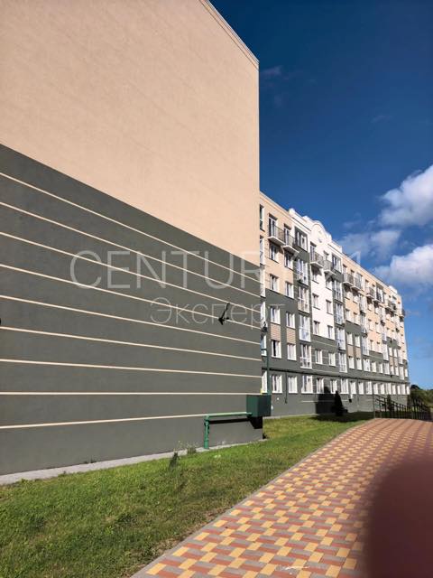 3-комнатная квартира 75.4 м² — Пионерский, Гептнера, дом 21 — фото 7