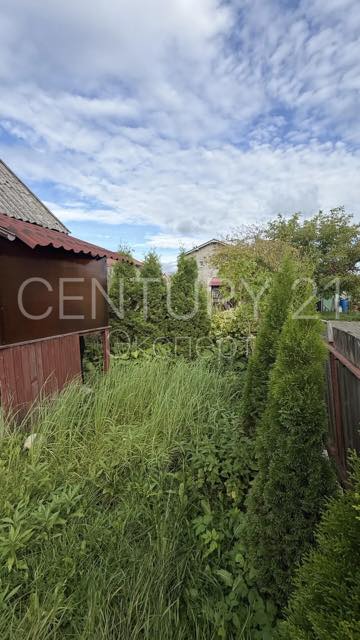 Дом 15 м² — Калининград, Садовая, 45 — фото 6